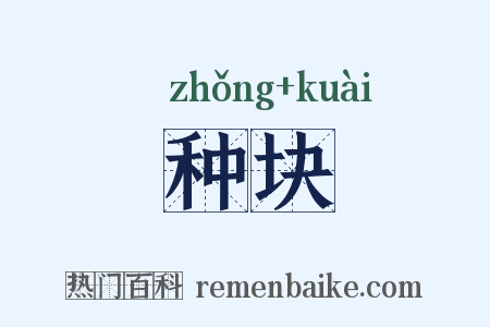 种块是什么意思的图片